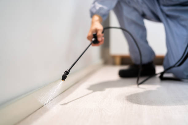 Licensed Exterminator service in Southmont, NC - Show Me Pest Control