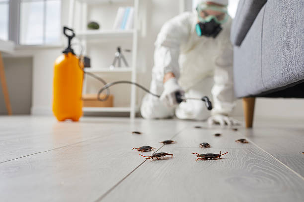 Commercial Kitchen Cockroach Control in Southmont
